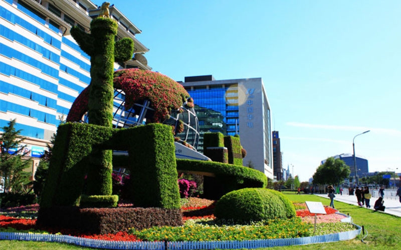 湛江道路五色草造型