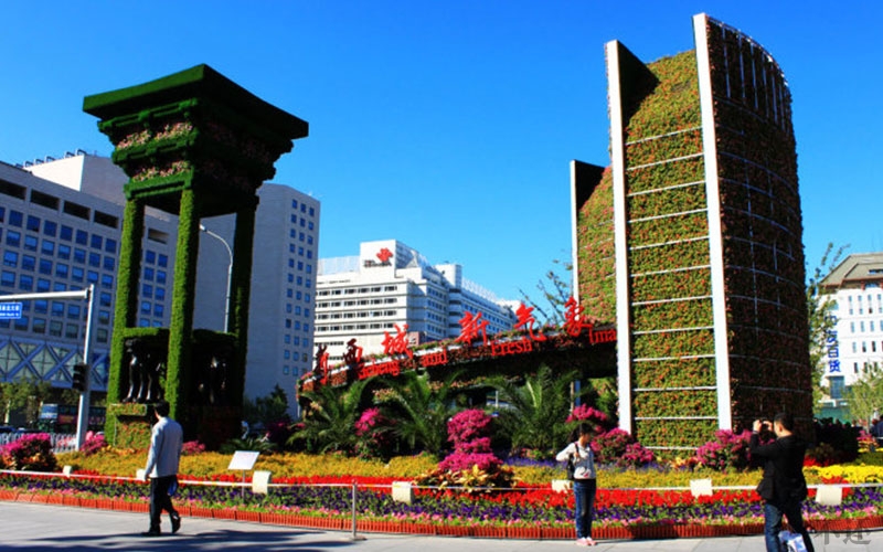 贵港道路五色草厂家