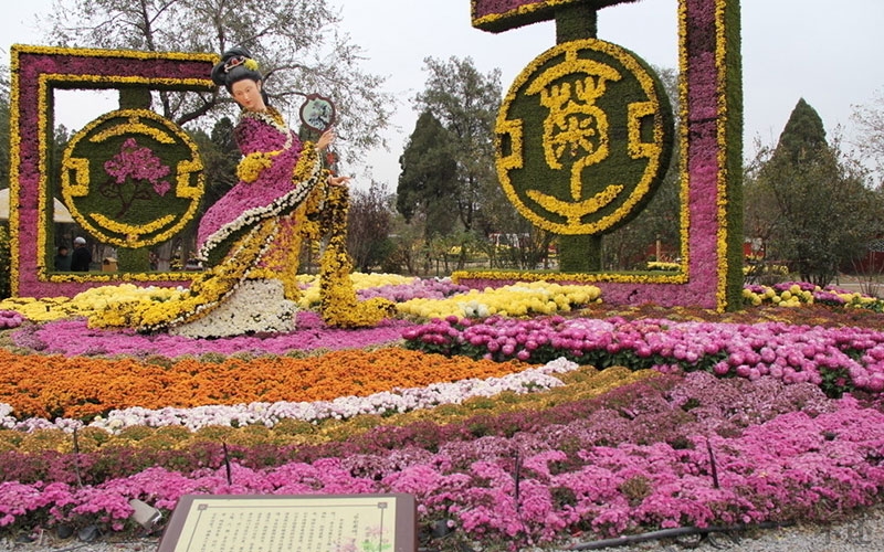 葫芦岛开封菊花展