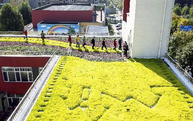 丽江城市屋顶绿化