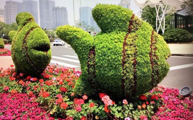 银川庆典五色草造型