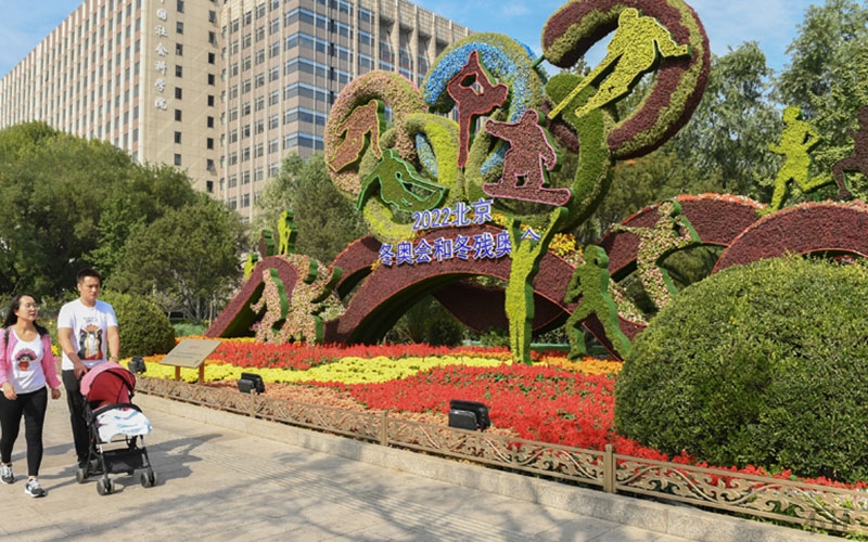 北京庆典五色草造型