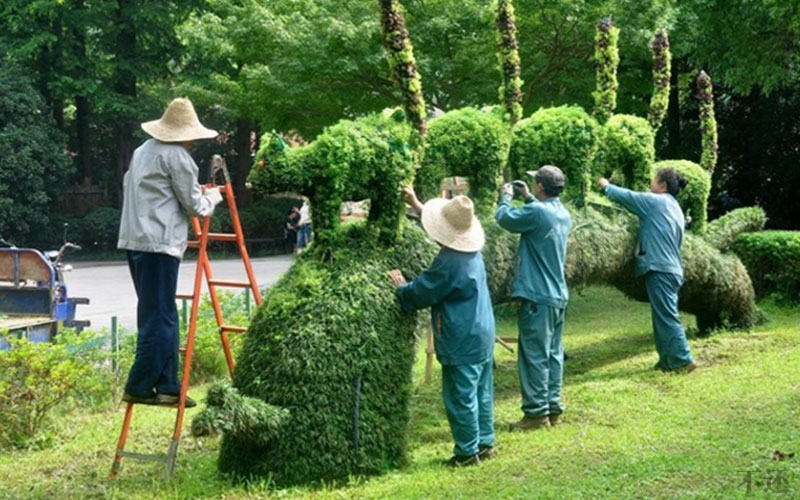 安顺安康公园五色草造型