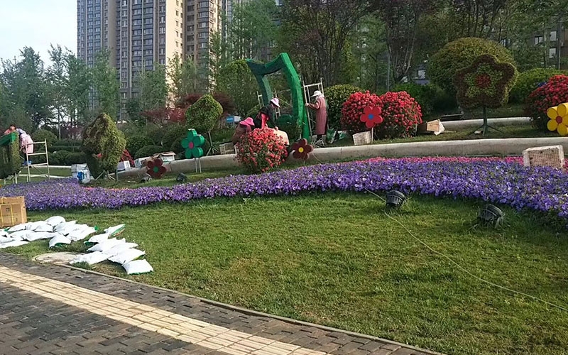 丽江五色草造型设计