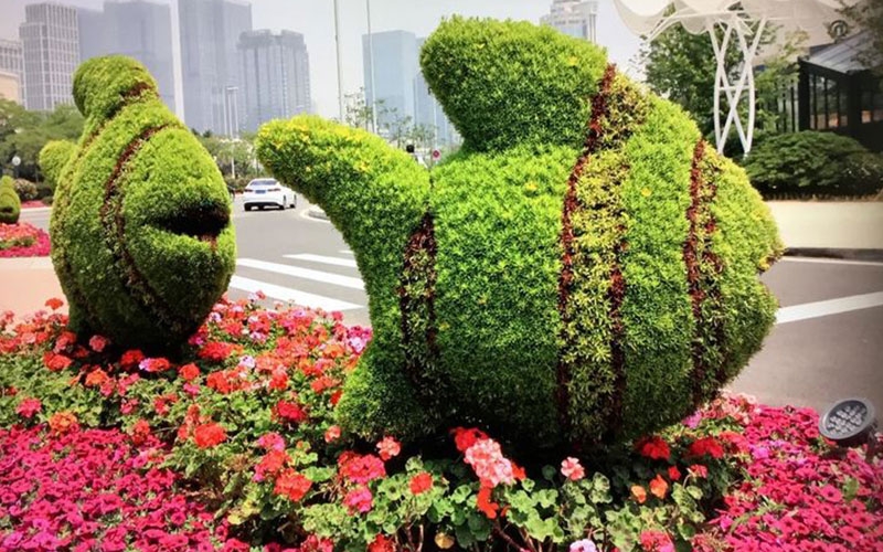 南阳庆典五色草造型