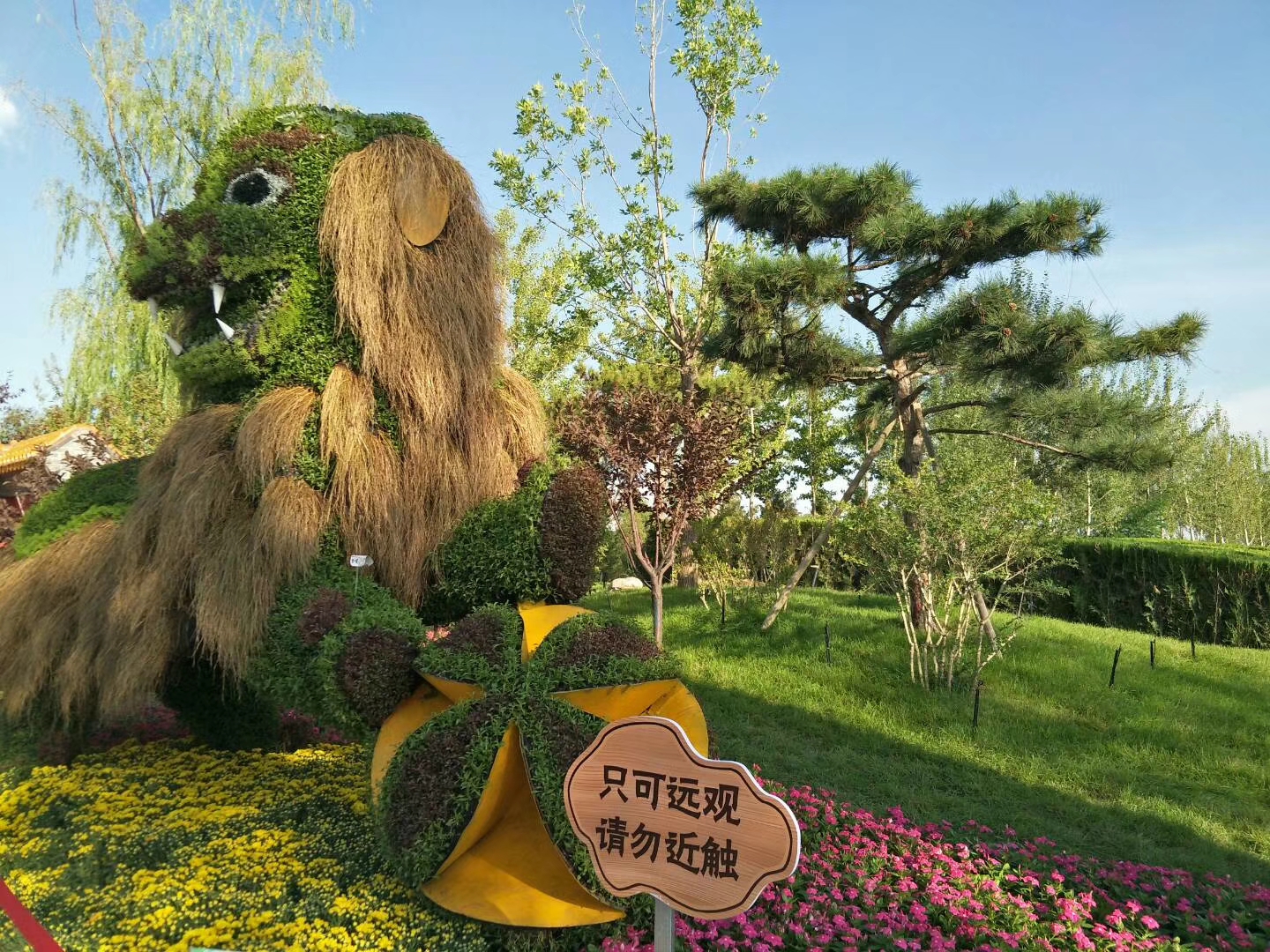 第十四届中国菊花展览会将于2022年在无锡市举办