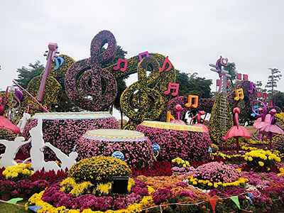 莆田菊花造型在公园景区菊花展的运用