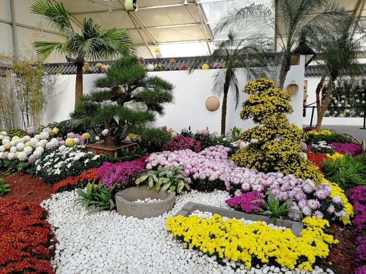 湖南菊花展中的艺术盆景