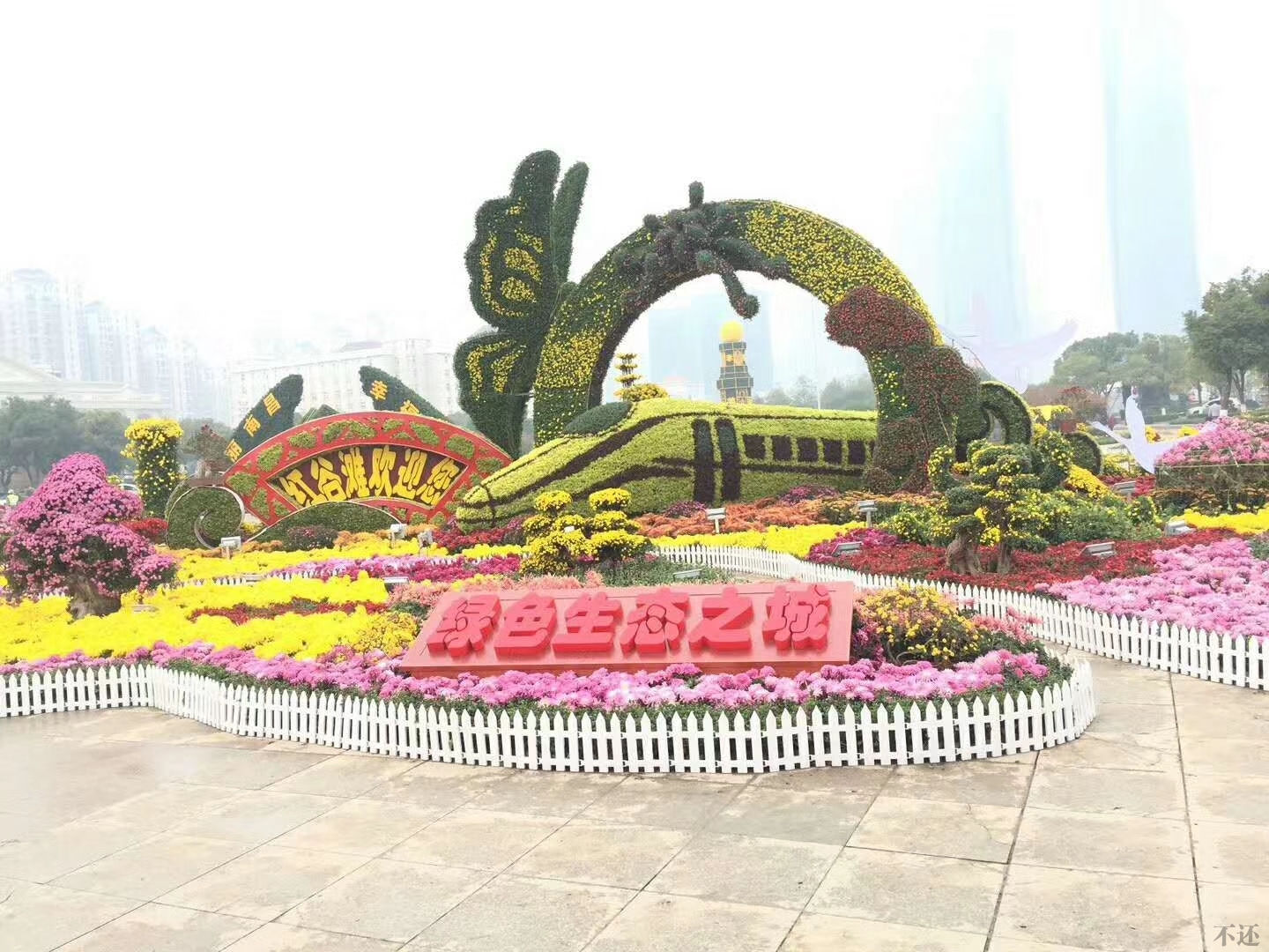 北京开封菊花种植合作社