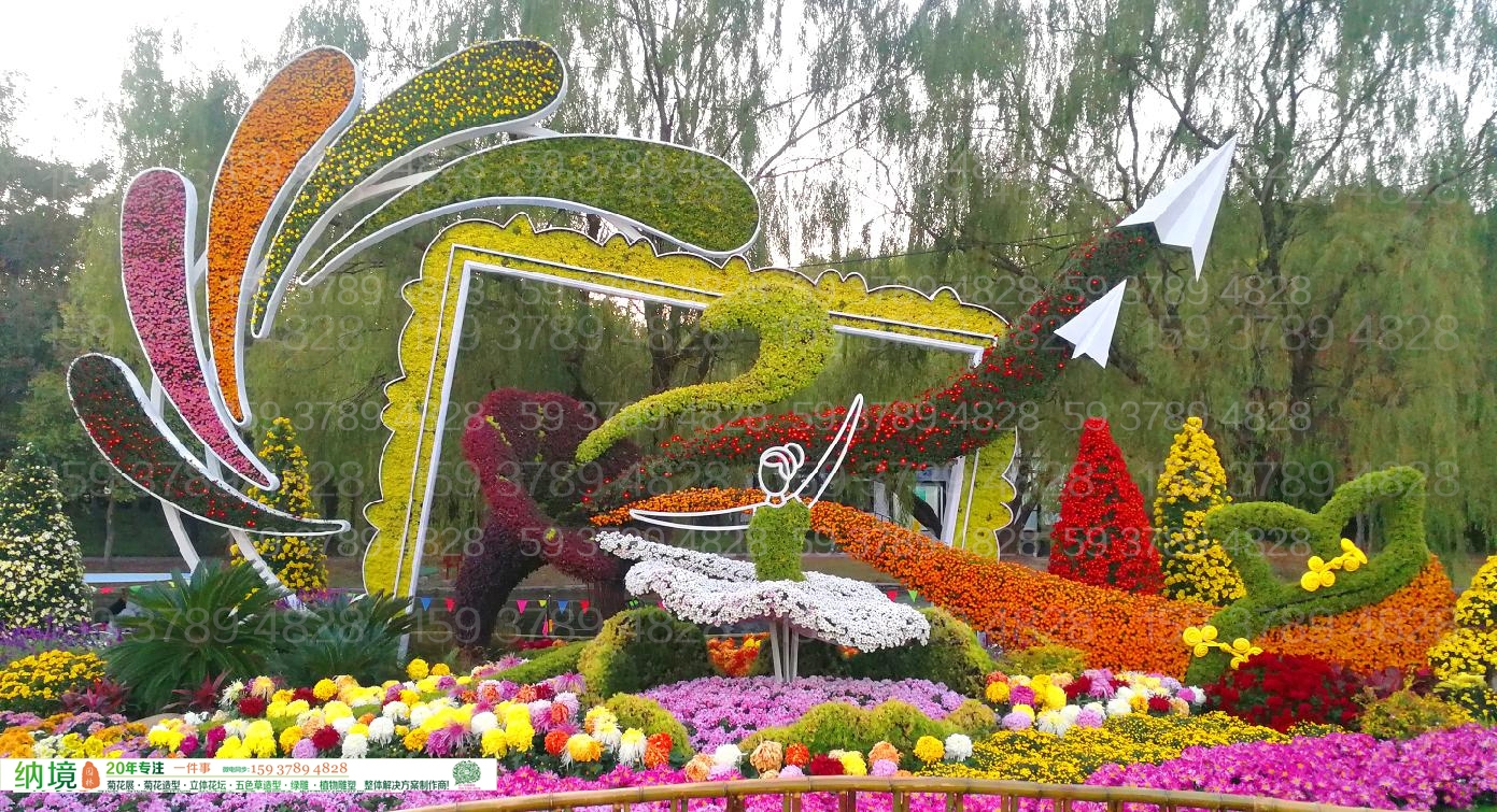 蚌埠公园菊花展施工案例效果实景
