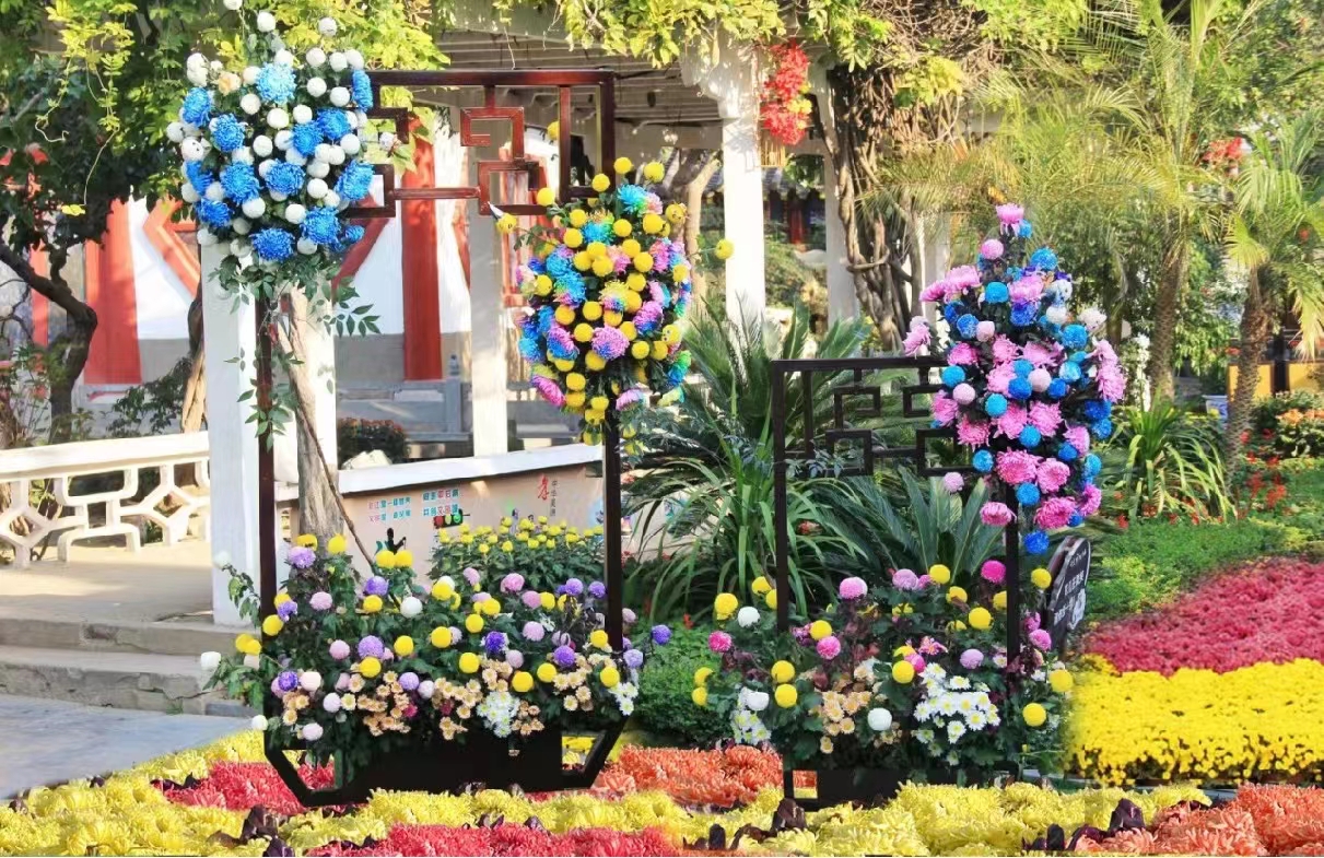 精品菊花展布展施工.jpg