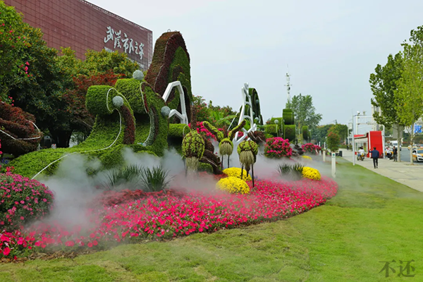 嘉兴五色草立体花坛的养护与管理指南 